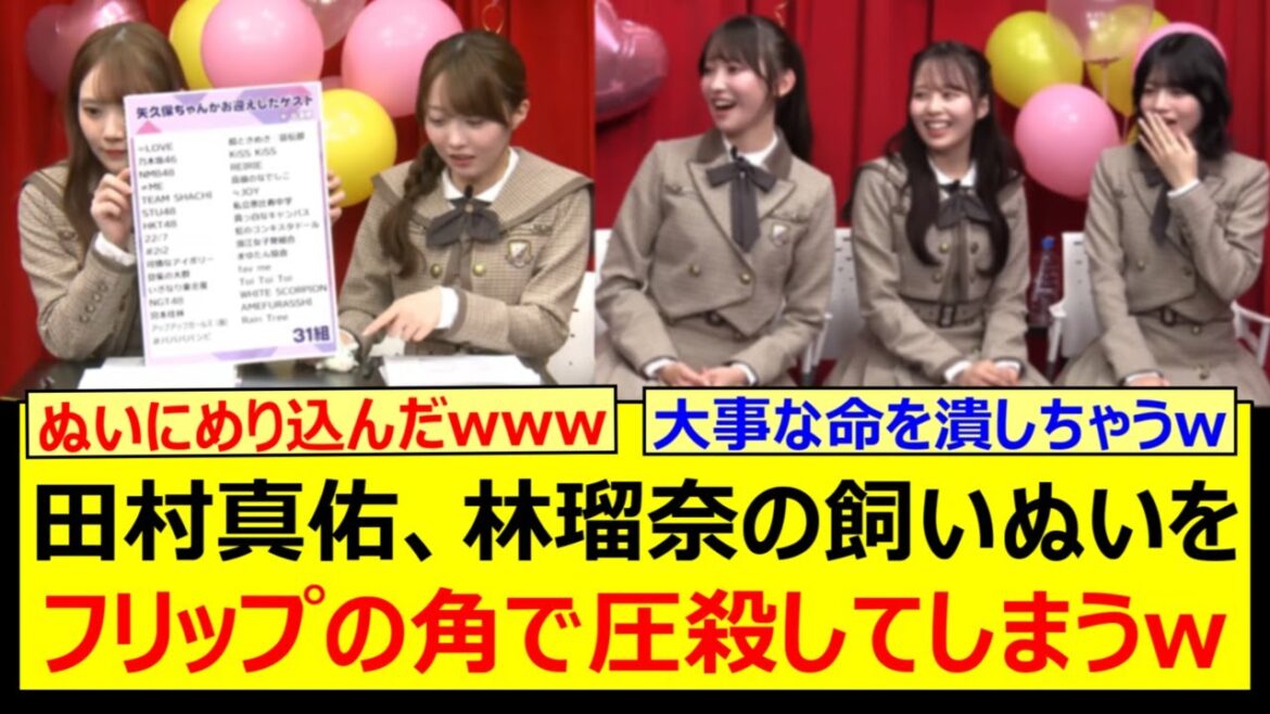 【事故】田村真佑、林瑠奈の飼いぬいをフリップの角で圧殺してしまうwww【乃木坂46・生のアイドルが好き・矢久保美緒・黒見明香・佐藤璃果・乃木坂配信中・乃木坂工事中】