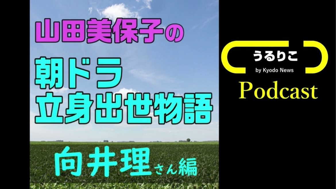 【山田美保子「朝ドラ立身出世物語」#6 向井理さん編】