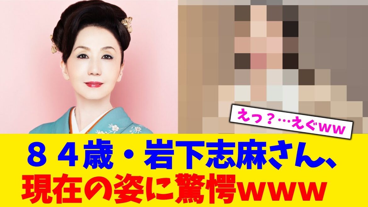 84歳・岩下志麻さん、現在の姿に驚愕www【2chまとめ】【2chスレ】【5chスレ】