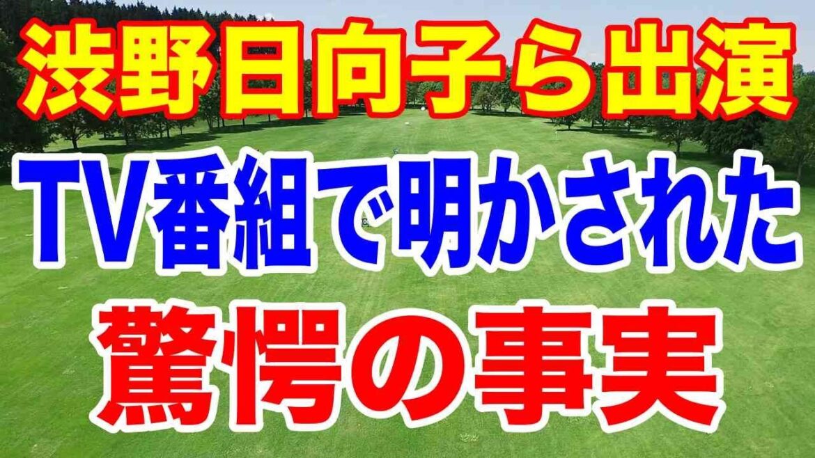 【衝撃】渋野日向子出演!「木梨憲武スポーツキング」で明かされた裏側