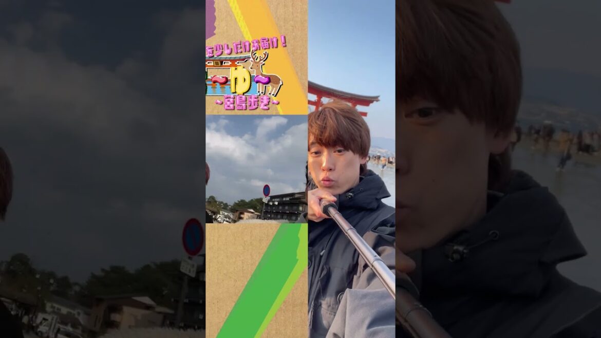 ふぉ〜ゆ〜 official【宮島上陸⛩️】マツがいないけど…絶景だぜぇ〜🤗