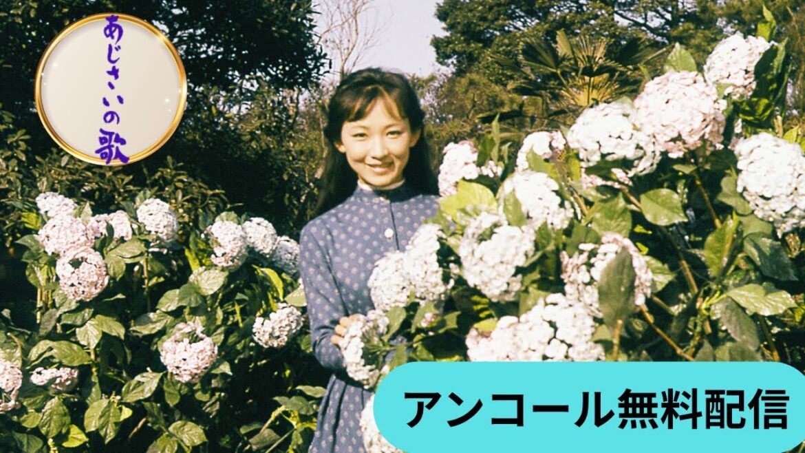 日活スター女優シリーズ 芦川いづみ「あじさいの歌」(アンコール無料配信)(1960)