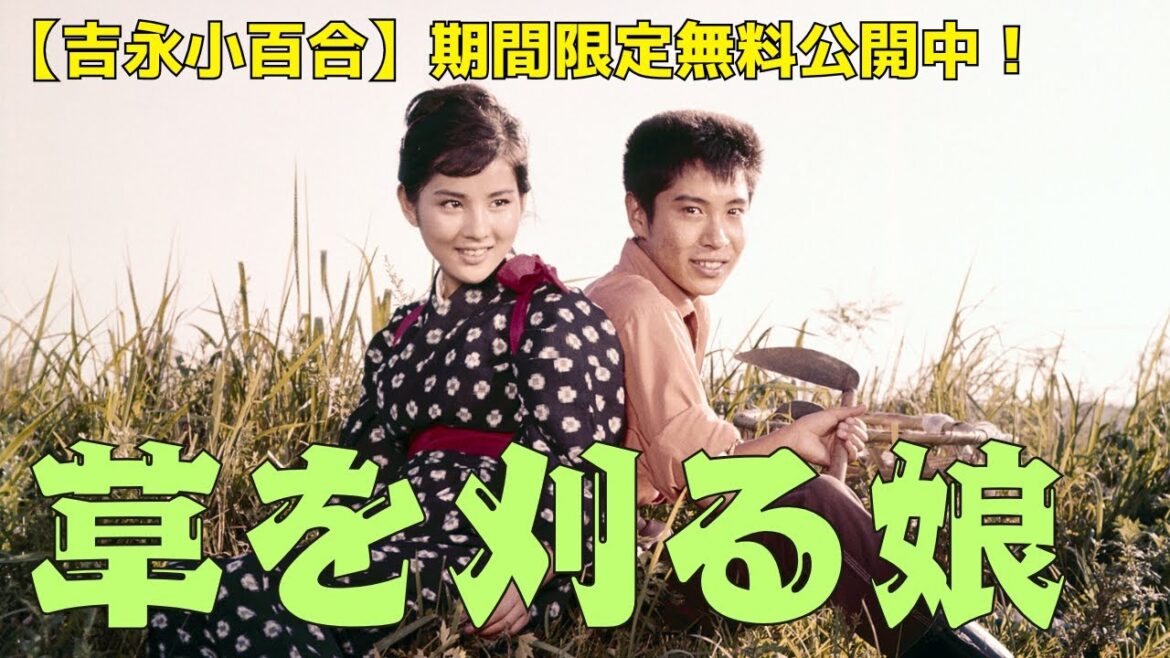 【期間限定】吉永小百合「草を刈る娘」