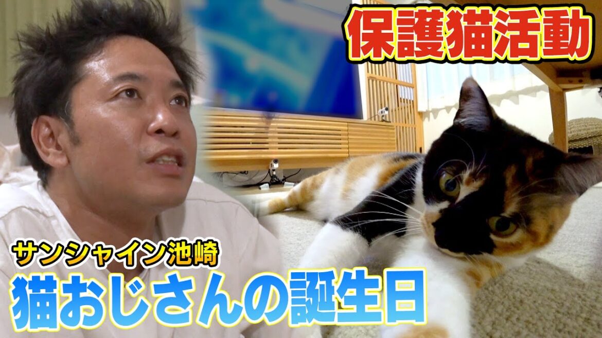 【誕生日の癒し】サンシャイン池崎さんが一緒に暮らす風ちゃん雷ちゃんと保護猫ブルボンと・・・