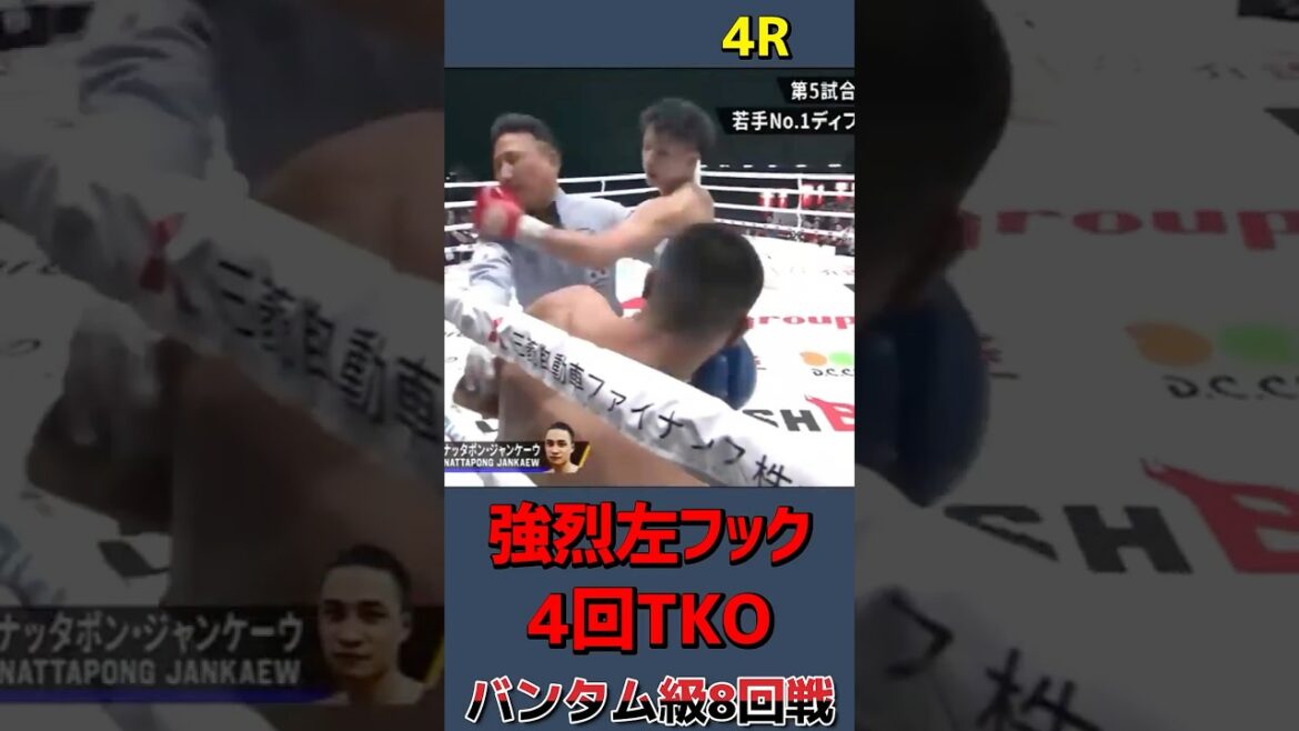 【強烈左フック】佐野遥歩vsナッタポン・ジャンケーウ(バンタム級8回戦)#shorts