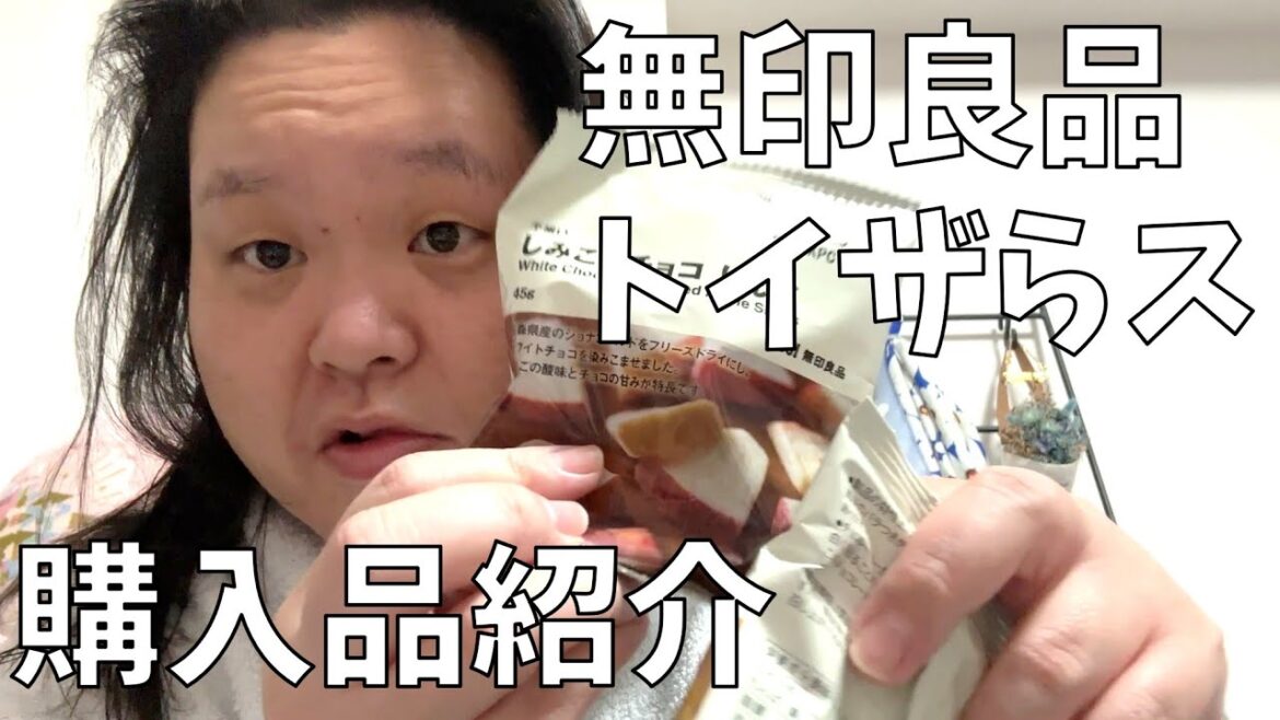 【購入品紹介】無印良品とトイザらスでいろいろ買い物したよ!【ファミマセーラームーンファイル全種ゲット】