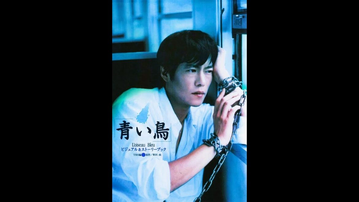 Blue Bird(青い鳥 / Aoi Tori)|1997年 TBS ドラマ