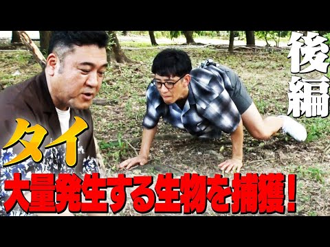 【タイその②】危険生物に挑む柴田とビビるザキヤマ