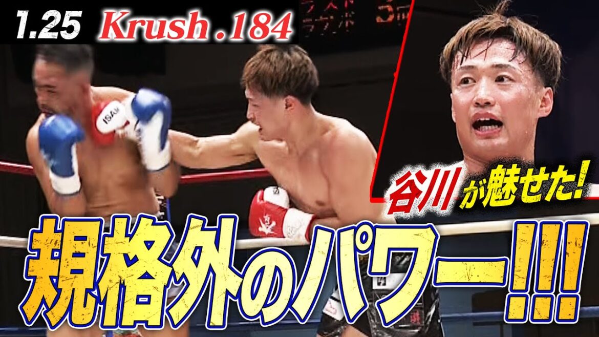 【Krush】谷川聖哉が80kgの巨漢相手に圧巻のKO勝利!Krushの新しい重量級の到来か!|【Krush.184】ABEMAで全試合無料生中継!
