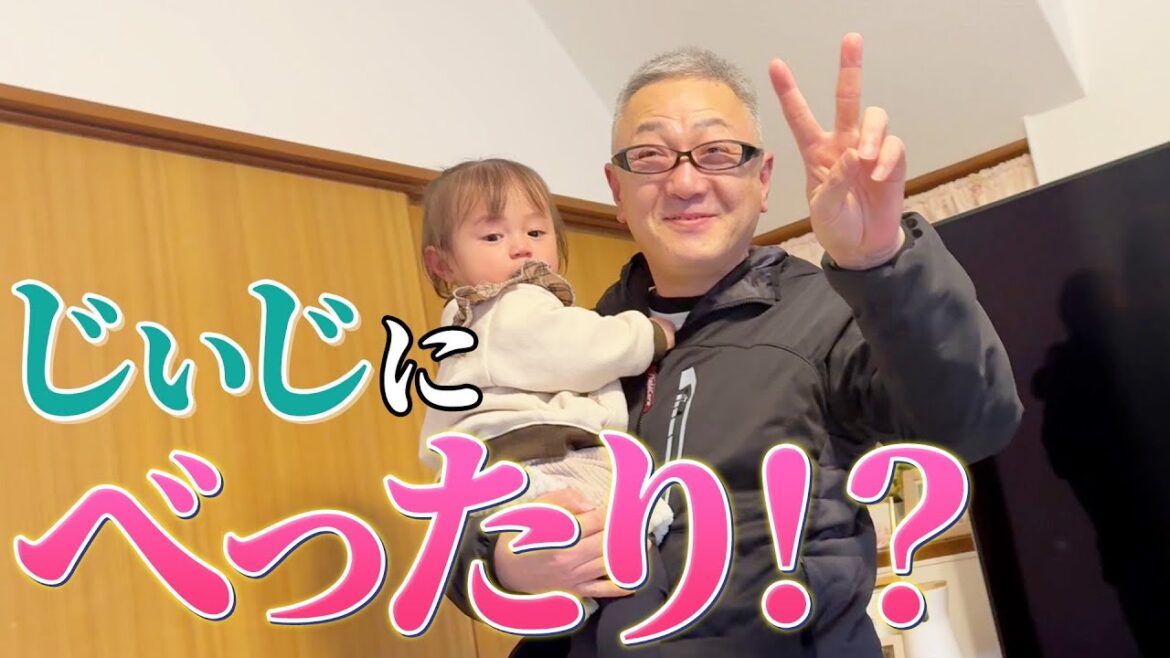 年末に実家に帰ったらじぃじから離れなくなりました🫢