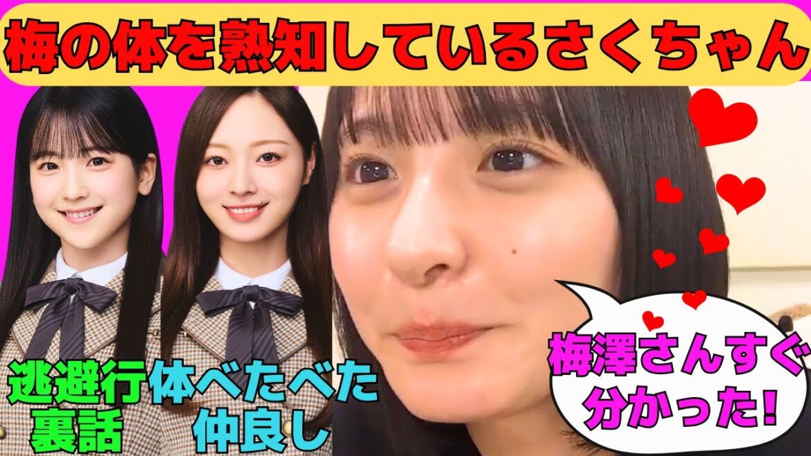 【遠藤さくら】梅澤美波の体を熟知しているさくちゃん/新しいモノマネを披露するさくちゃん/鈴木佑捺との逃避行裏話/林瑠奈へのモケケのお土産/文字起こし(乃木坂46・のぎおび)