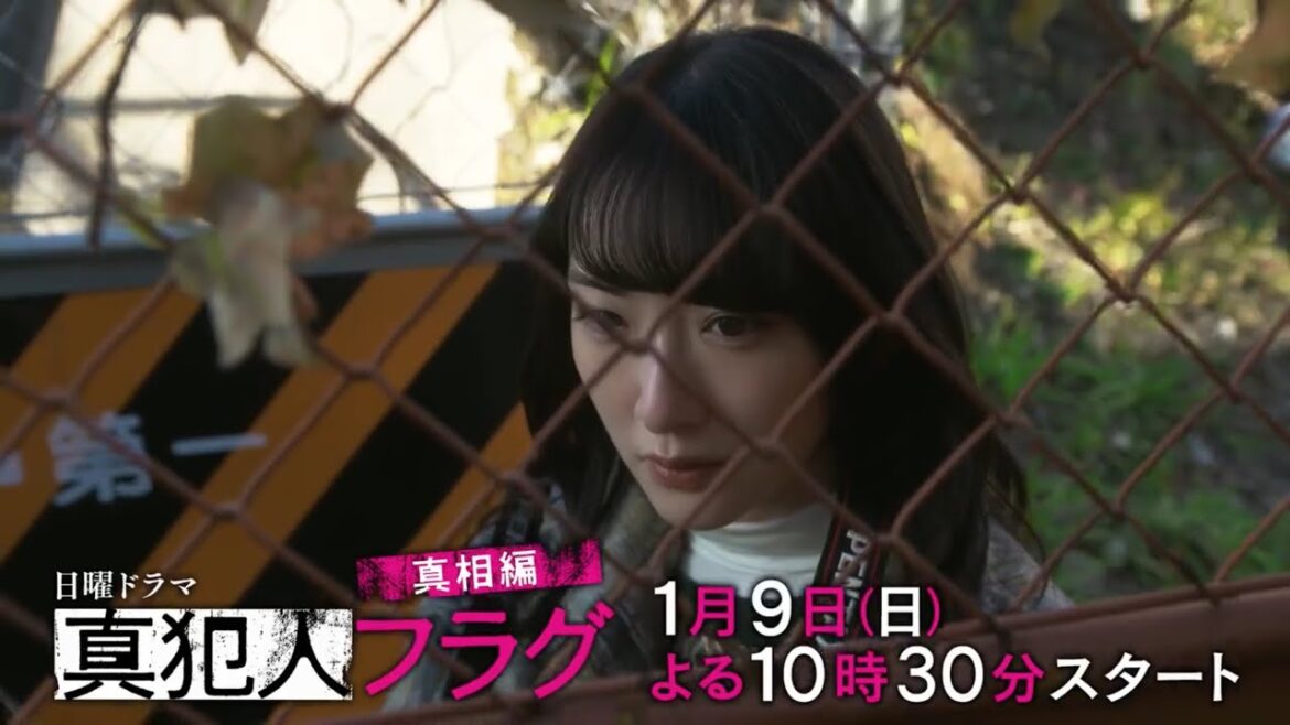日曜ドラマ『真犯人フラグ-真相編-』第11話予告