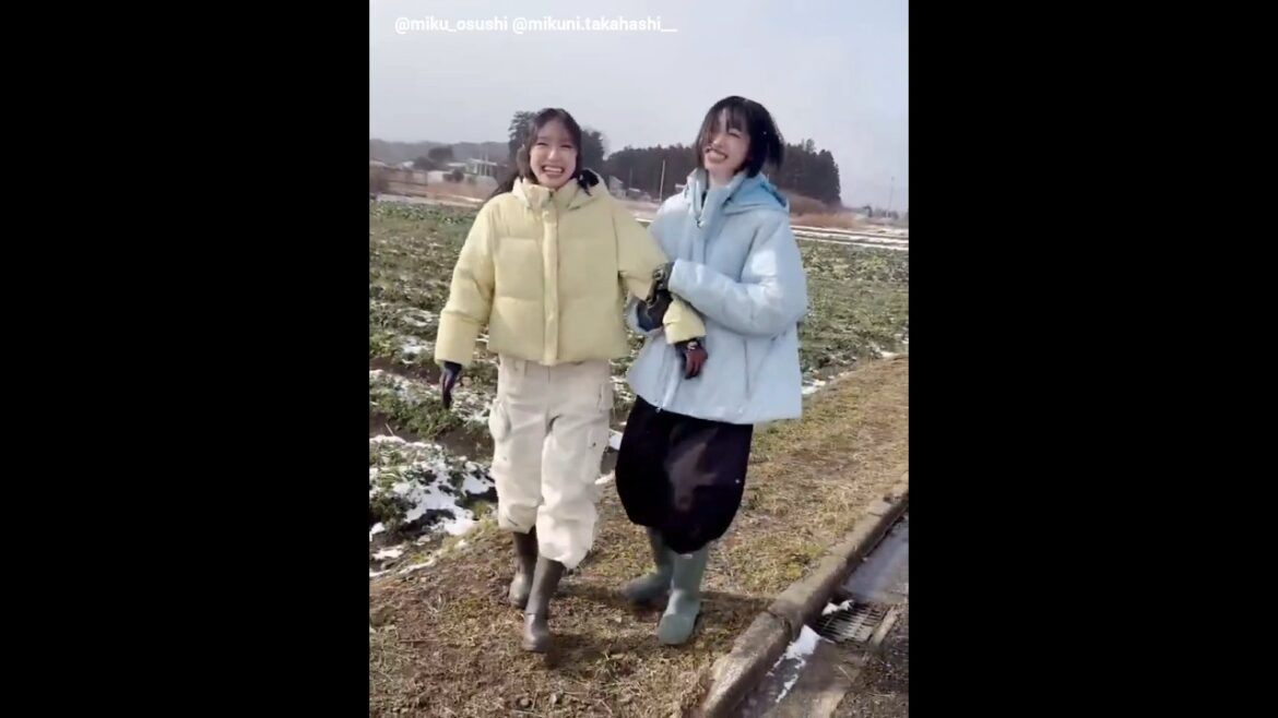 金村美玖 髙橋未来虹 はしゃぐおみくちゃん♪青空レストラン 日向坂46