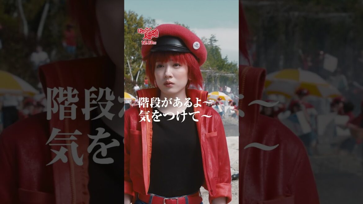 元気いっぱい血小板!映画『はたらく細胞』2024年12月13日(金)公開