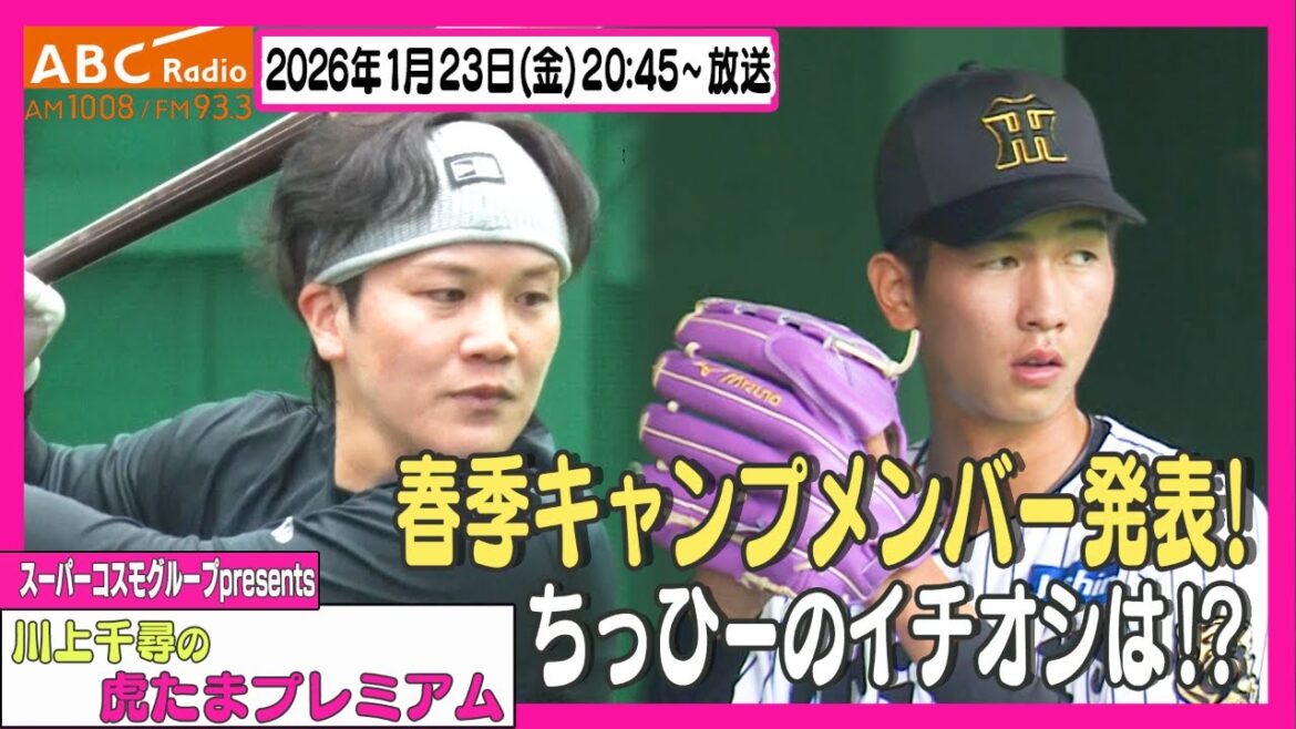 【キャンプ直前】ABCラジオ「川上千尋の虎たまプレミアム!」ちっひーがキャンプに向けて期待を寄せる選手を発表!!阪神タイガース密着!応援番組「虎バン」ABCテレビ公式チャンネル