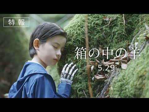 映画『箱の中の羊』特報予告映像【5月29日(金)全国公開】