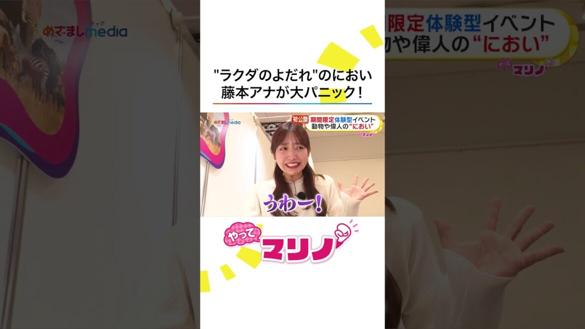 ラクダのよだれはどんなにおい?テレビ初公開!話題の期間限定・体験型イベントで #藤本万梨乃 アナが大パニック!「完璧」ナースコスプレにも挑戦 #めざましテレビ #やってマリノ