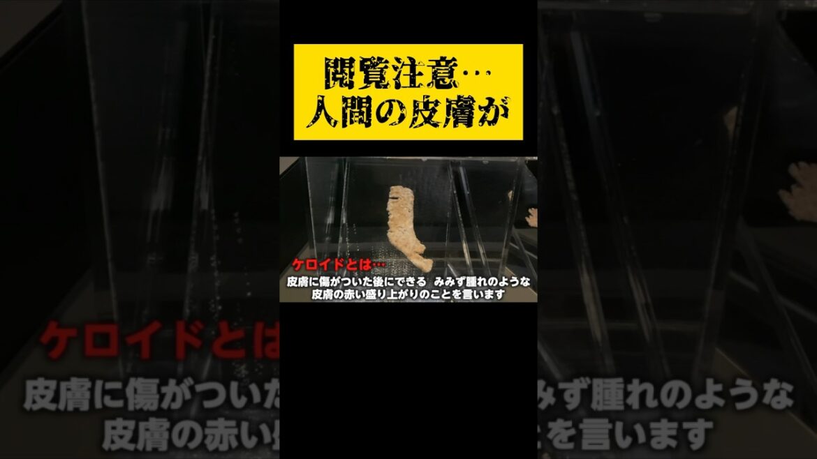 【これが原爆…】何を思いますか?