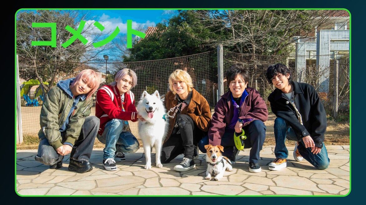 【手越祐也&T.N.T&松陰寺太勇(ぺこぱ)コメント】「手越祐也のワンダフルライフ」|Huluにて独占配信中