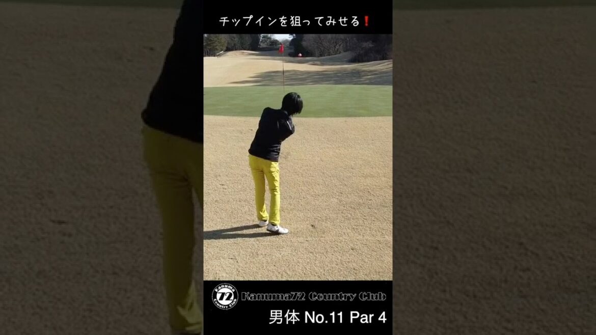 【ゴルフ】チップインをキメてヒーローになる!#shorts #ゴルフ #ゴルフ男子 #ももごる