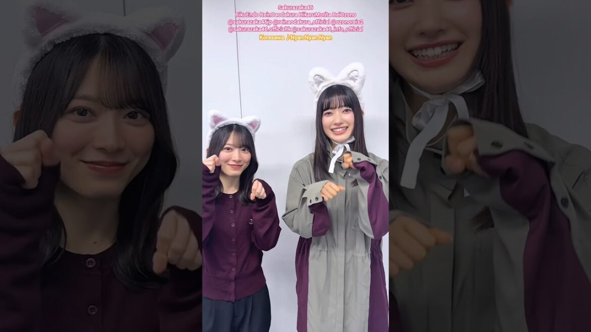 遠藤理子 小田倉麗奈 森田ひかる 大園玲 猫の日♪コレサワ にゃんにゃんにゃん 櫻坂46