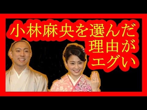 【真実】市川海老蔵が小林麻央を選んだ本当の理由【メダカの芸能通信】
