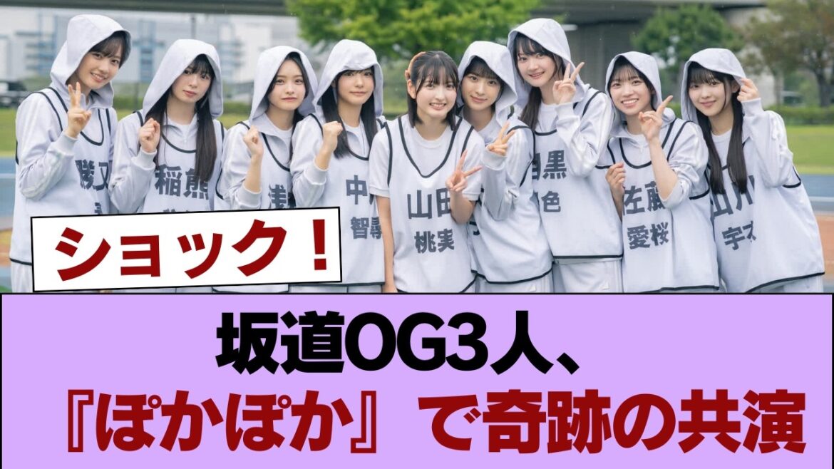 【坂道OG】三坂の楽曲を踊るコラボも!原田葵×齊藤京子×生駒里奈が『ぽかぽか』で共演!!! #櫻坂46 #櫻坂46の家