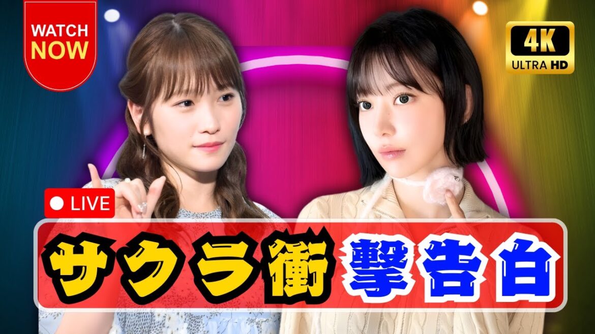 LE SSERAFIMサクラ&川栄李奈がVTR共演|AKB48結成20周年ライブで明かされた衝撃裏話と奇跡の瞬間 #AKB48 #LESSERAFIM #川栄李奈