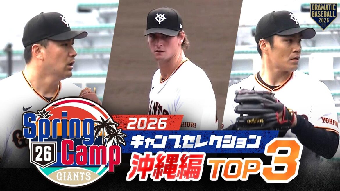 2026 キャンプセレクション〈沖縄編〉TOP3【巨人】【春季キャンプ】