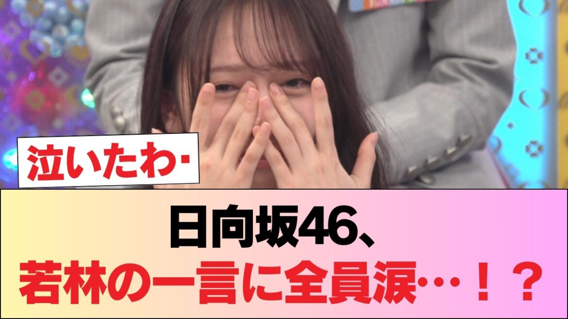 【日向坂46】若林さん「今日で…」衝撃告白にメンバー全員涙!?【ひなあい】 #日向坂46 #日向坂 #日向坂で会いましょう #乃木坂46 #櫻坂46