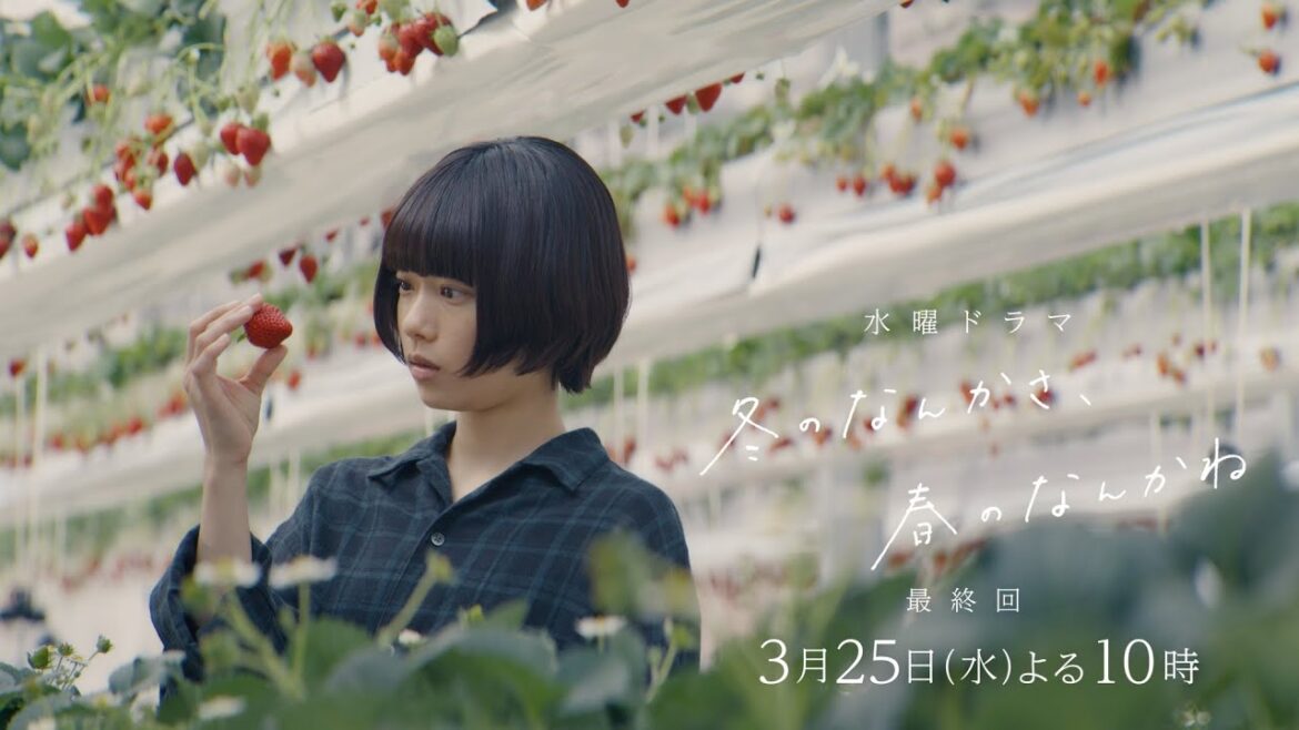 【最終回 予告】主演・杉咲花×監督/脚本・今泉力哉「冬のなんかさ、春のなんかね」毎週水曜よる10時【日テレ系 水曜ドラマ】