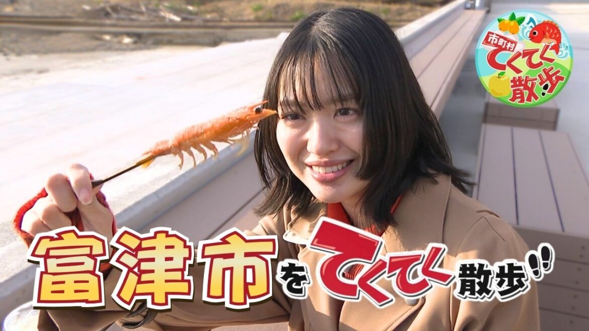 『市町村てくてく散歩』第180回「富津市」(2026.3.20放送)【チバテレ公式】