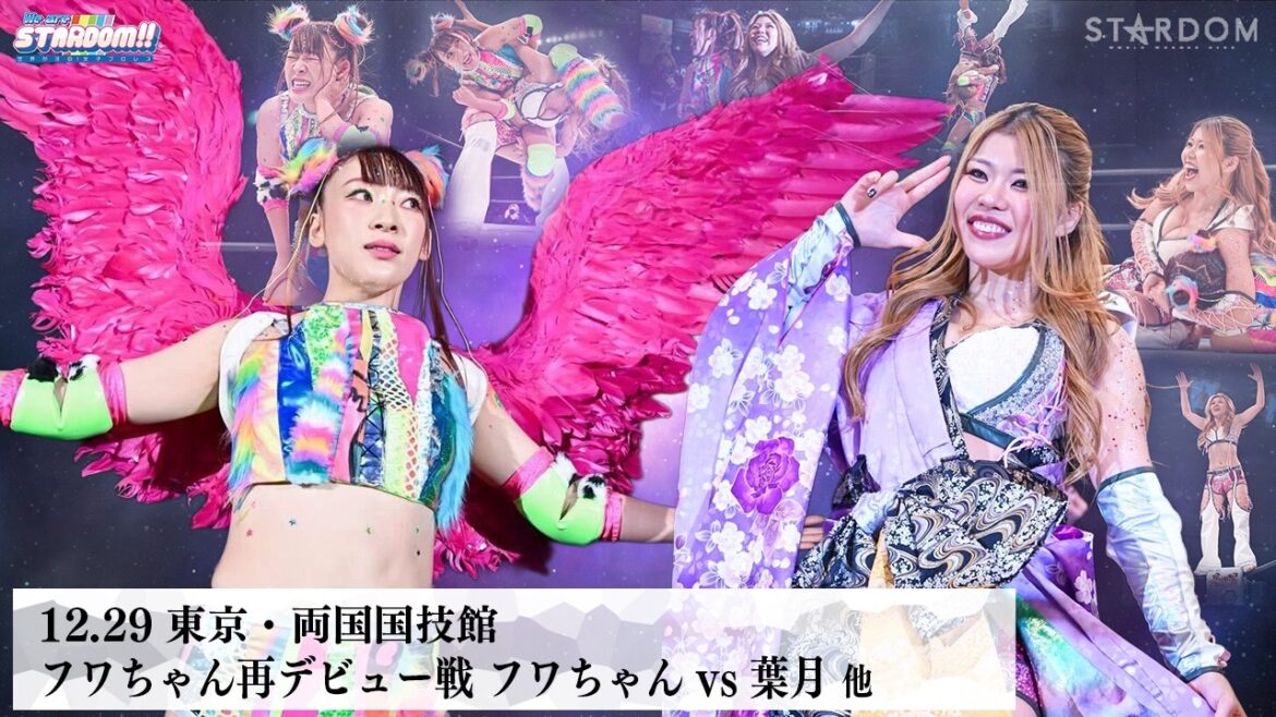 【プレミア公開】フワちゃんが女子プロレスラーとして再出発!/12.29両国 vs葉月/2.7大阪 vs吏南『We are STARDOM!!』#325