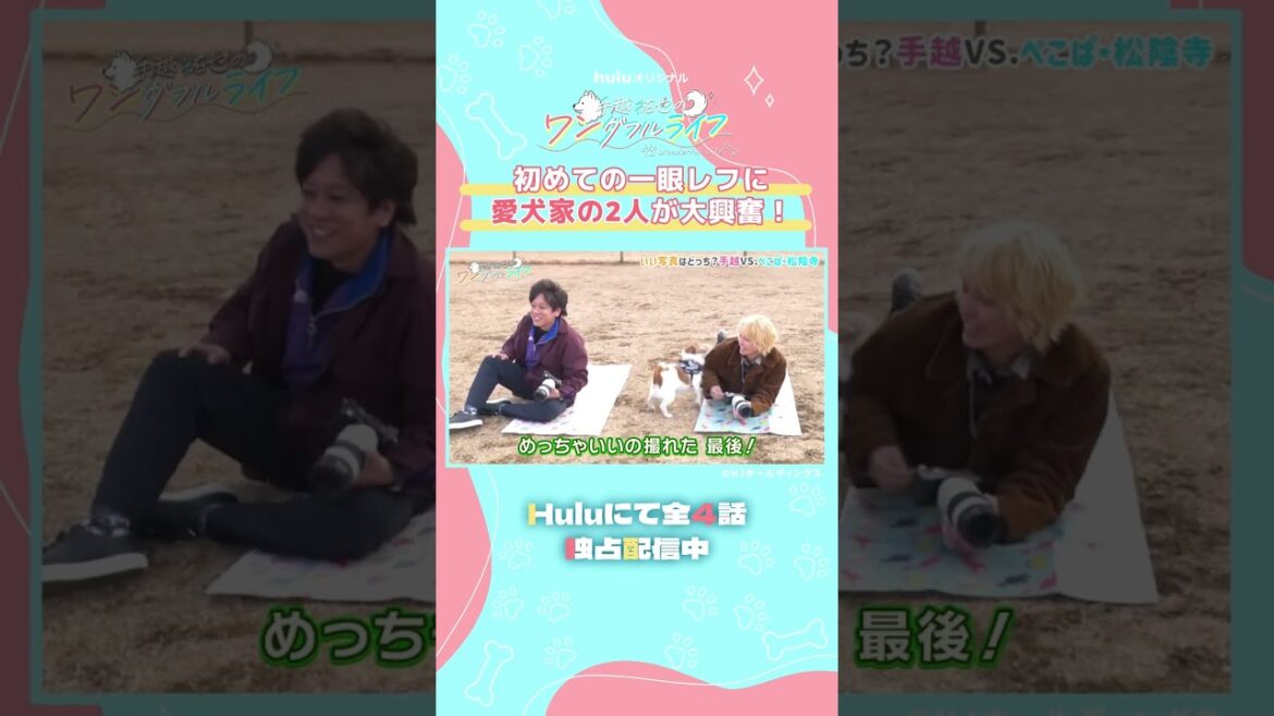 愛犬の写真撮影対決 |「手越祐也のワンダフルライフ」独占配信中