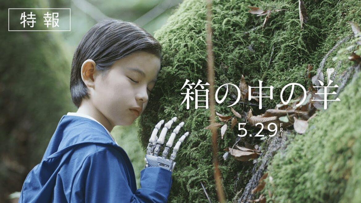 映画『箱の中の羊』特報予告映像【5月29日(金)全国公開】