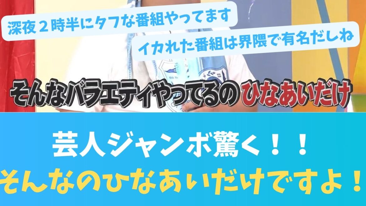 そんなのひなあいだけですよ!!ジャンボが嘆く番組ひなあいにおひさまの反応【KO ZH EN ES SUB】#한국어 자막 #中文字幕 히나타자카46