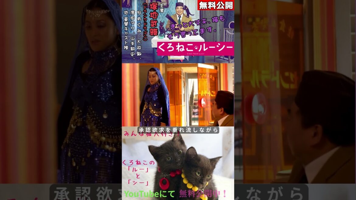 『くろねこルーシー』#猫 #やっぱり猫が好き #映画 #無料映画 #塚地武雅 #安めぐみ #大政絢 #濱田マリ #山本耕史 #京野ことみ #佐戸井けん太 #生瀬勝久 #平松愛理