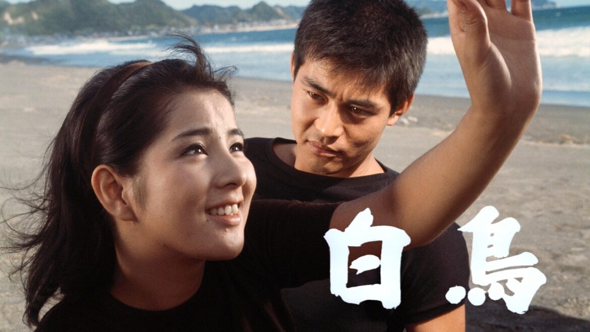 【期間限定】吉永小百合×渡哲也『白鳥』