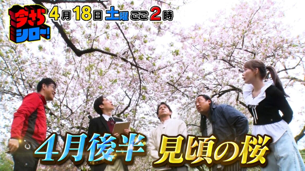 岡田准一&ロバート秋山が桜レジェンドから学ぶ『今さらシロー!』4/18(土)【TBS】