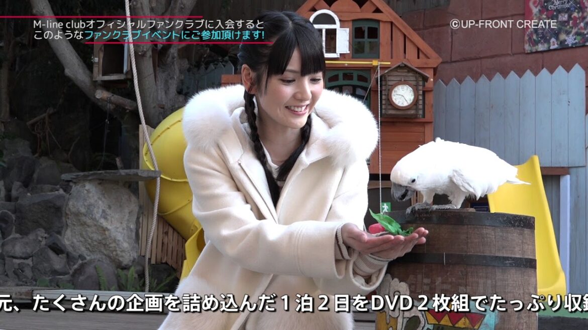 【DVD】道重さゆみ ファンクラブツアーin伊豆