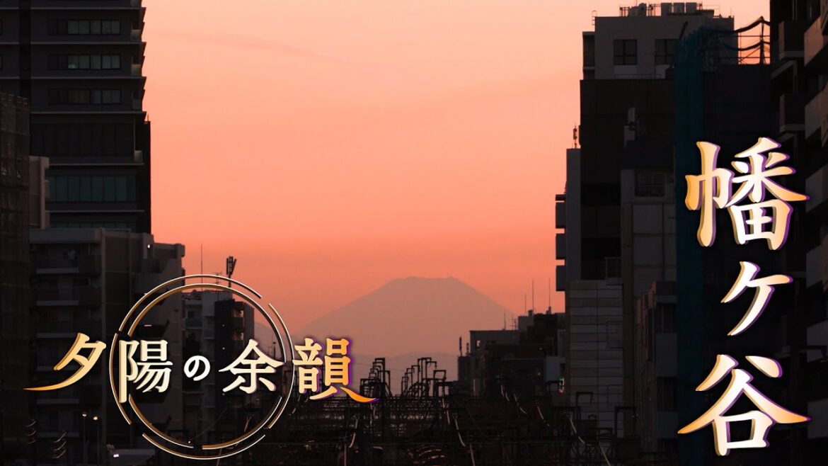 「夕陽の余韻」幡ヶ谷へ 2026年4月15日放送分