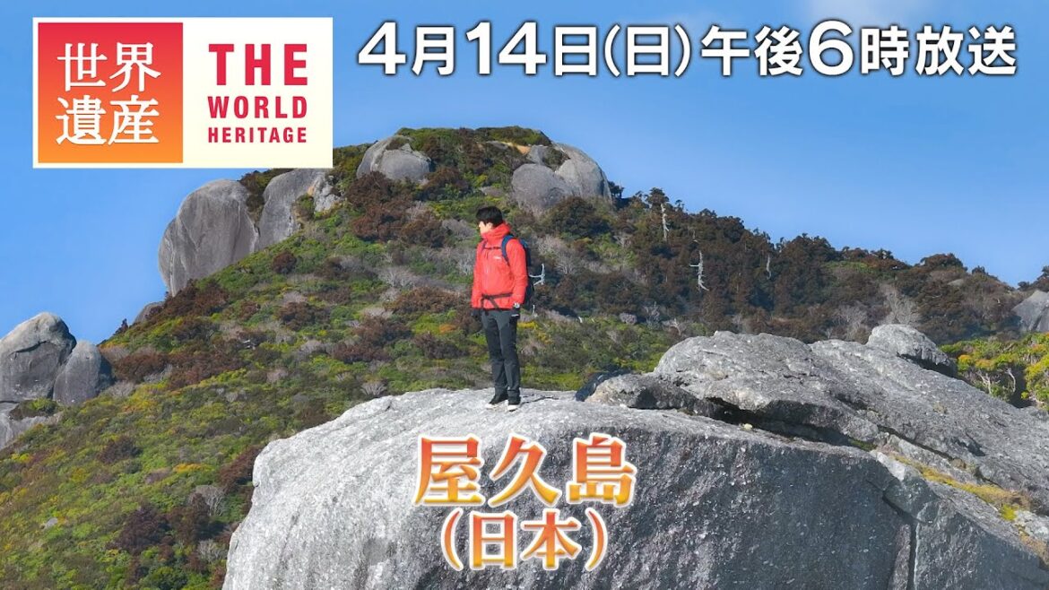 【TBS世界遺産】鈴木亮平が登る!巨木と巨岩の島・屋久島 (後編)【4月14日午後6時放送】