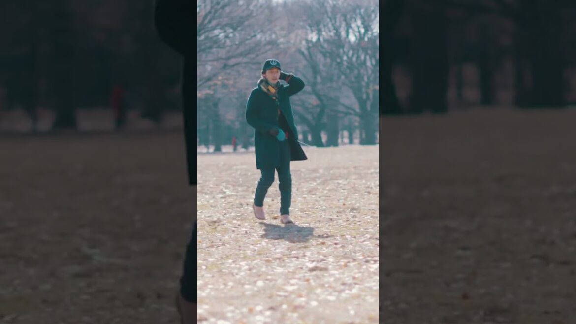 公園でお散歩をするクルミ #Shorts #草彅剛 #クルミ