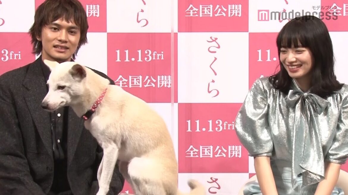 北村匠海&小松菜奈、愛犬サクラを演じたちえにメロメロ 映画『さくら』犬の日に合わせた特別映像公開