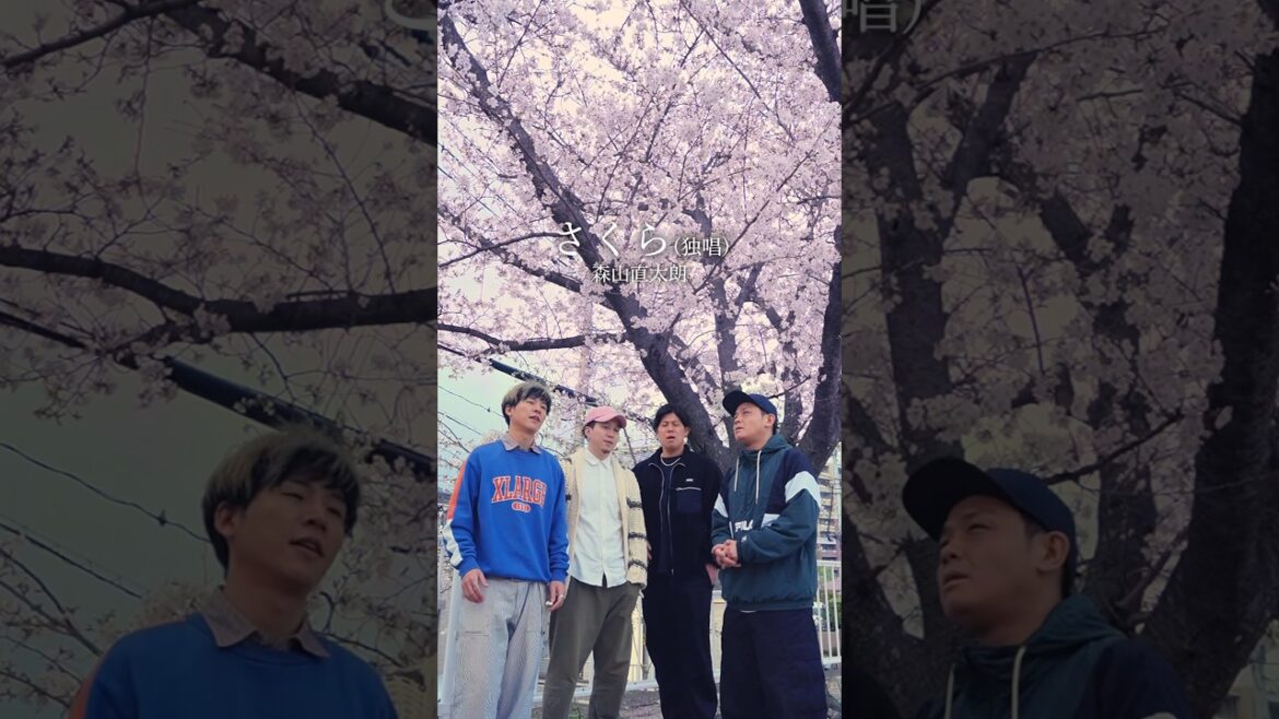 【アカペラ】「さくら(独唱)」森山直太朗 #歌ってみた #ykrm #福岡 #さくら #アカペラ #ハモネプ