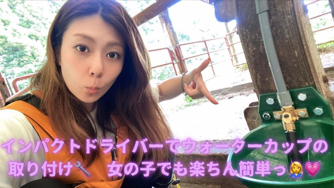 インパクトドライバーで牛舎のウォーターカップの取り付け🔧 女の子でも楽ちん簡単っ👩🔧💗