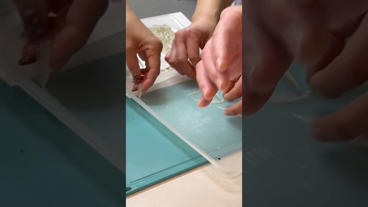 春の茶懐石料理 白魚の風干し #八寸 #茶懐石料理教室 #新茶懐石マスター講座 #幸菜庵 #shorts