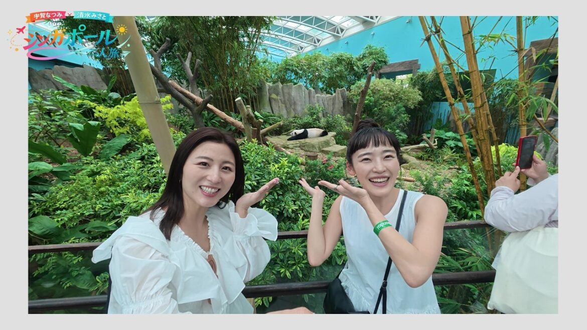 +1シンガポール!宇賀なつみ×清水みさとのいつもよりちょっぴり贅沢な滞在!【リバーワンダー&マンダイ・レインフォレスト・リゾート by バンヤンツリー編】