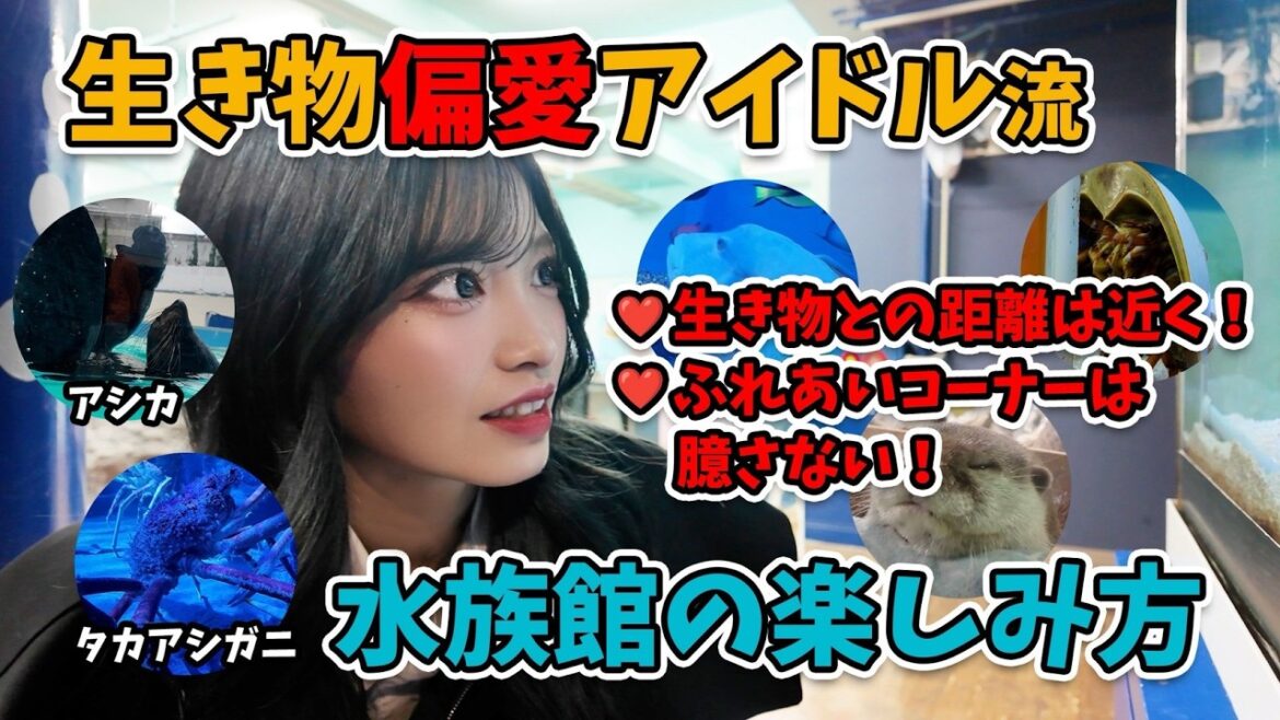 【密着】SKE48メンバーと水族館を満喫する生き物偏愛アイドル、入内嶋