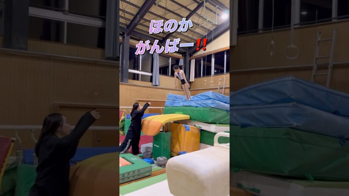 小学生体操選手たけとほのかの跳馬基礎練習!転回前宙とツカハラ跳び頑張るぞ!#体操競技 #跳馬 #跳び箱